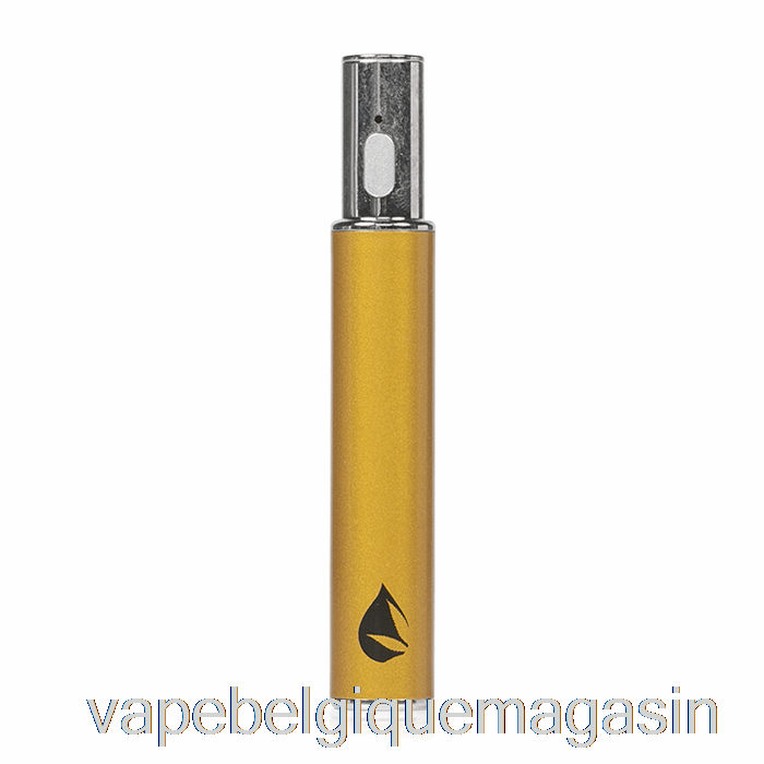 Vape Jetable Leaf Buddi Max Iii 3 Batterie 650mah Or